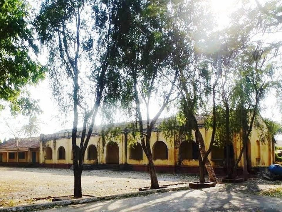 Viá»‡n